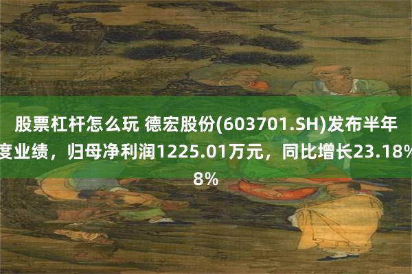 股票杠杆怎么玩 德宏股份(603701.SH)发布半年度业绩，归母净利润1225.01万元，同比增长23.18%
