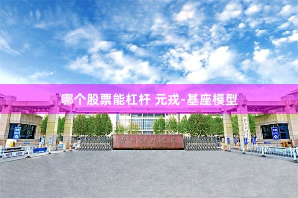 哪个股票能杠杆 元戎-基座模型