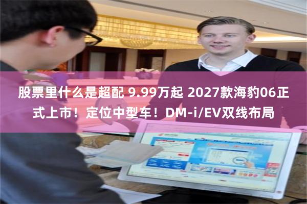 股票里什么是超配 9.99万起 2027款海豹06正式上市！定位中型车！DM‑i/EV双线布局