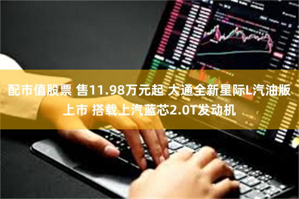 配市值股票 售11.98万元起 大通全新星际L汽油版上市 搭载上汽蓝芯2.0T发动机
