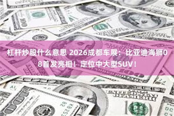 杠杆炒股什么意思 2026成都车展：比亚迪海狮08首发亮相！定位中大型SUV！
