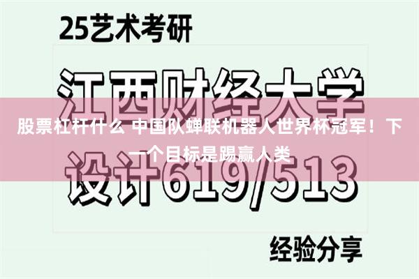 股票杠杆什么 中国队蝉联机器人世界杯冠军！下一个目标是踢赢人类
