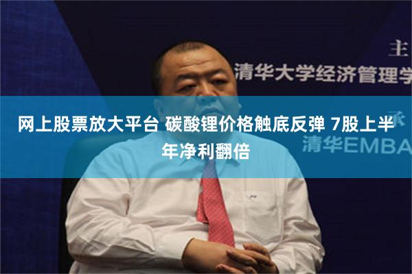 网上股票放大平台 碳酸锂价格触底反弹 7股上半年净利翻倍