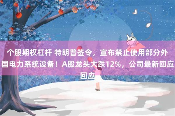 个股期权杠杆 特朗普签令，宣布禁止使用部分外国电力系统设备！A股龙头大跌12%，公司最新回应