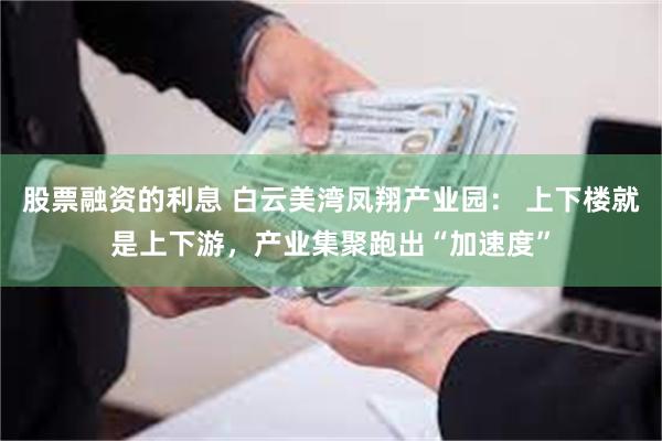 股票融资的利息 白云美湾凤翔产业园： 上下楼就是上下游，产业集聚跑出“加速度”
