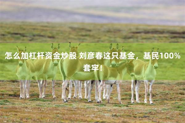 怎么加杠杆资金炒股 刘彦春这只基金，基民100%套牢！
