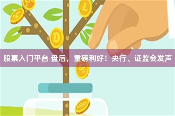 股票入门平台 盘后，重磅利好！央行、证监会发声