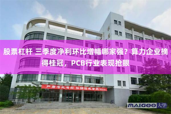 股票杠杆 三季度净利环比增幅哪家强？算力企业摘得桂冠，PCB行业表现抢眼