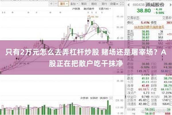只有2万元怎么去弄杠杆炒股 赌场还是屠宰场？A股正在把散户吃干抹净